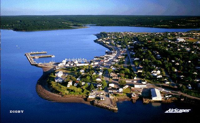 Digby Aerial View